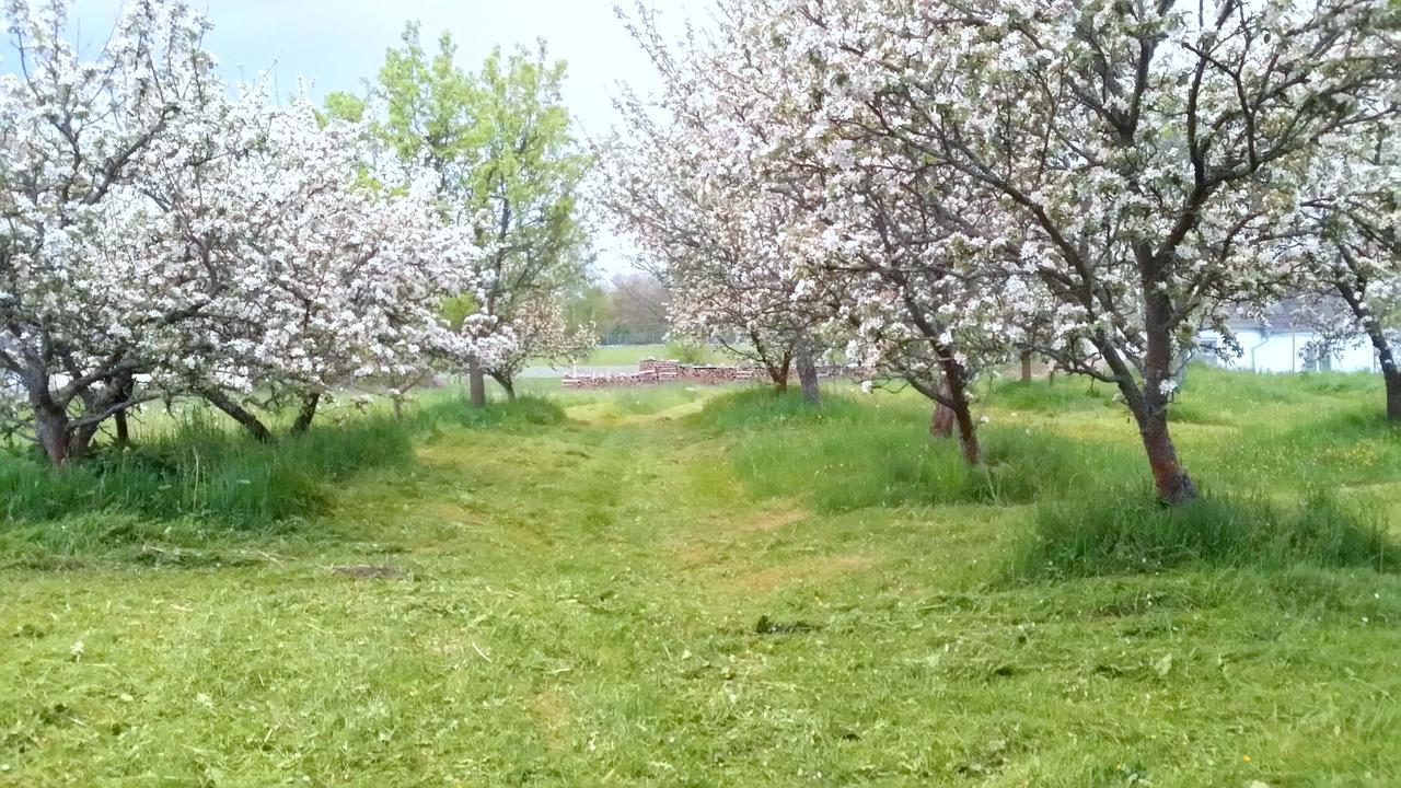 Safar Residence Hrachoviště Kültér fotó
